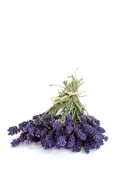 Bouquet of Lavender — Stock Photo, Image