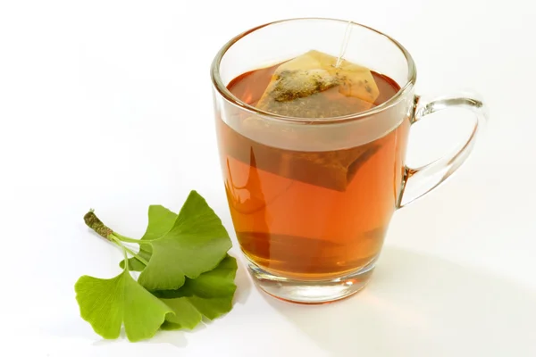 Herbel thee met Ginkgo biloba — Stockfoto