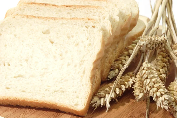 Tostadas de trigo — Foto de Stock
