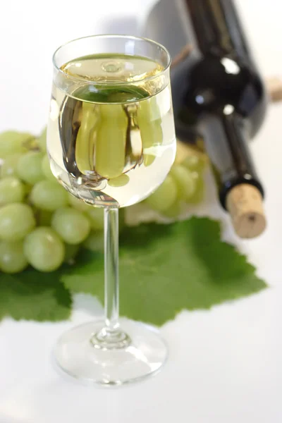 Vinho com garrafa — Fotografia de Stock