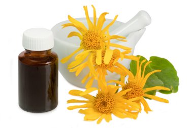 arnica tentür