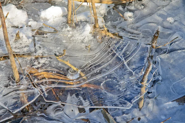Frozen creek — Stock Photo, Image