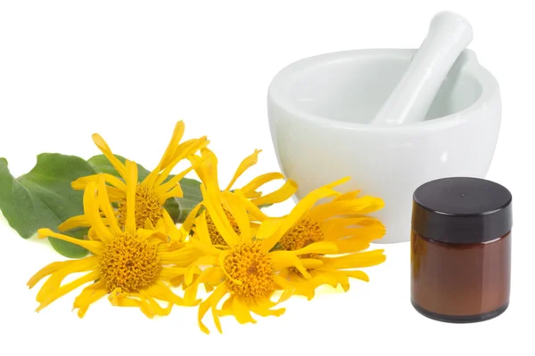 Arnica ointment — Stock Photo, Image