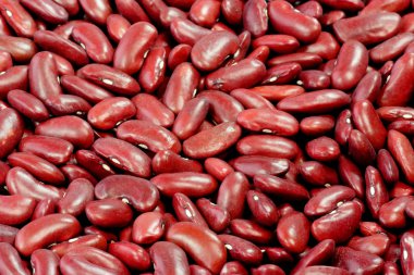 Red Kidney Beans clipart