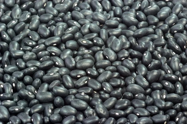 Чорні боби — стокове фото