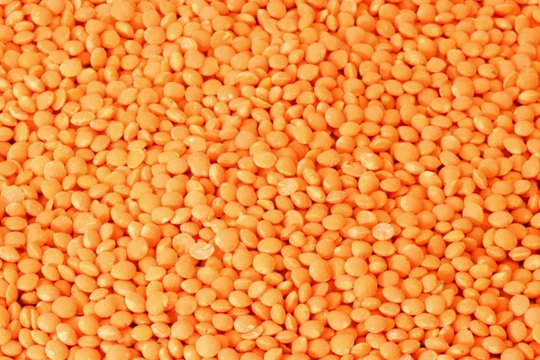 オレンジ レンズ豆 — ストック写真