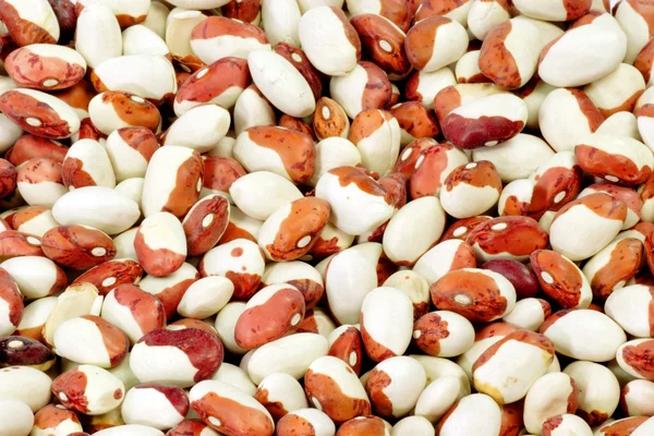 Rote und weiße Bohnen — Stockfoto