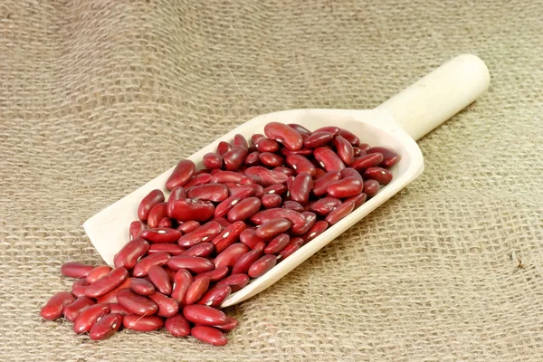 Red Kidney Beans on a wood Shovel — Stock Photo, Image