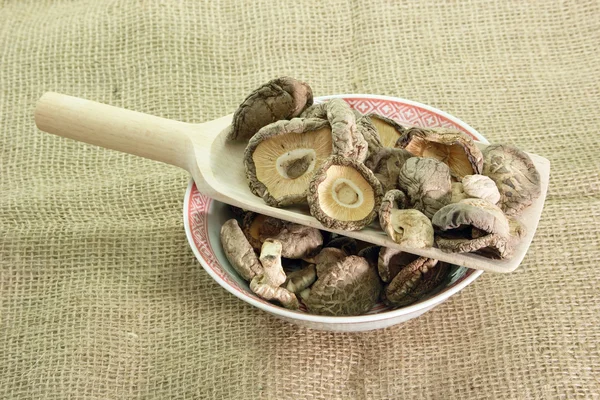 Dried Shiitake mushrooms — Stock Photo, Image