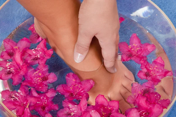 Fußbad mit Blüten — Stockfoto