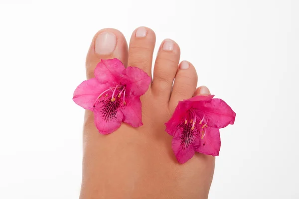 Nahaufnahme Eines Weiblichen Fußes Mit Blüten Isoliert — Stockfoto