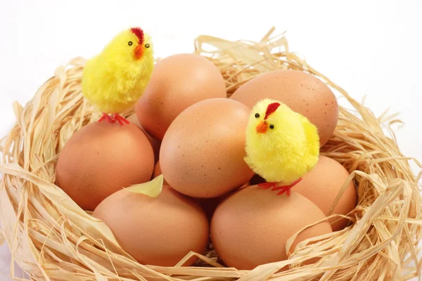 Easter chicks in the nest — Stock Photo, Image