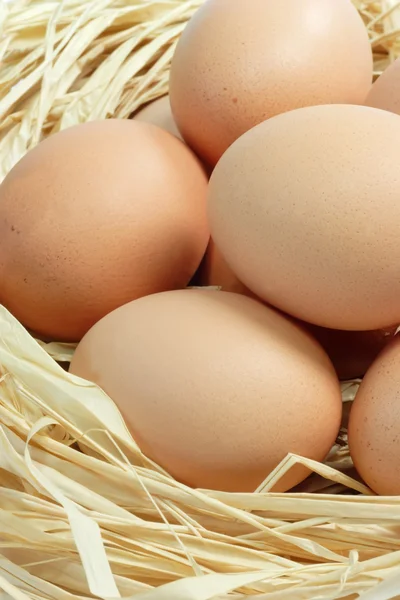 Сырые Яйца Соломенном Гнезде — стоковое фото