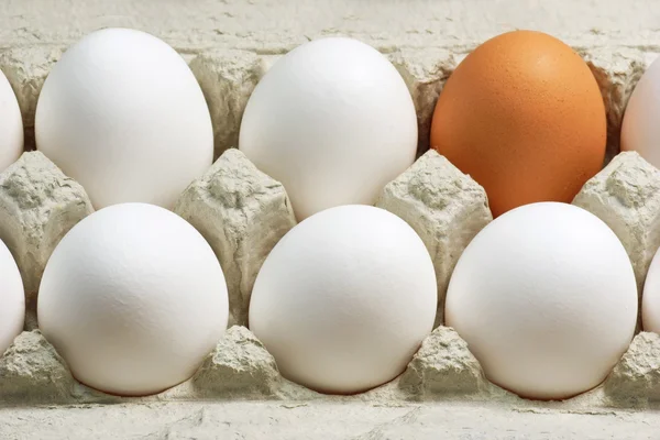 Brown Egg — Stock Photo, Image