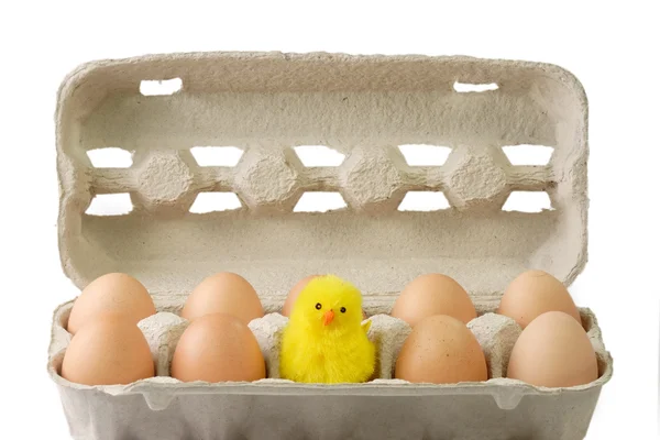 Bruin Eieren Met Een Kuiken Speelgoed Een Kartonnen Doos Witte — Stockfoto