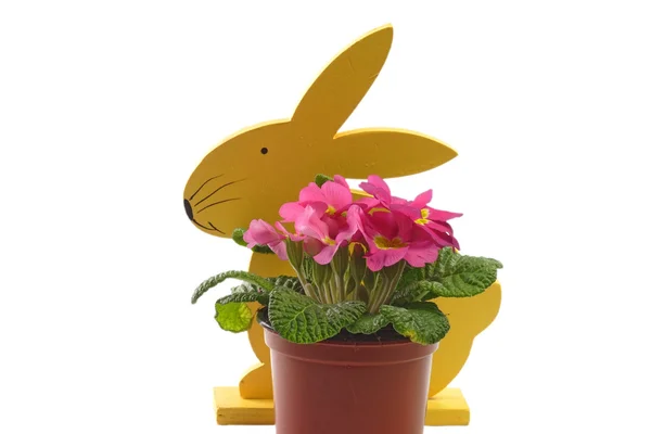 带着花的复活节兔子 — 图库照片