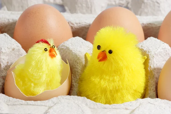 Twee Speelgoed Kuikens Met Bruin Eieren Een Kartonnen Doos — Stockfoto