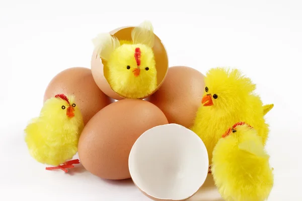 Gele Speelgoed Kuikens Met Bruin Eieren Witte Achtergrond — Stockfoto