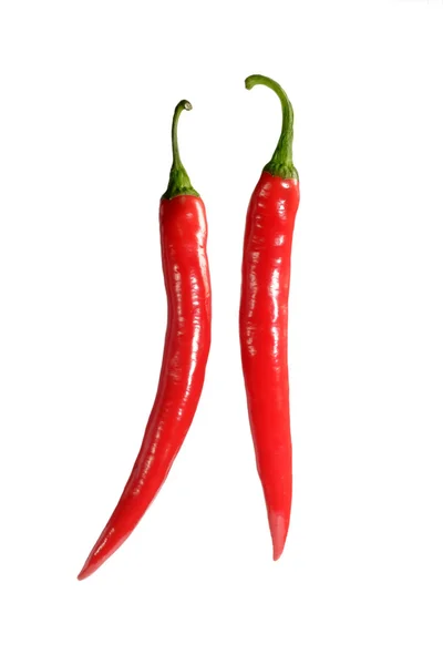 Pair of chilies — Stock Photo, Image