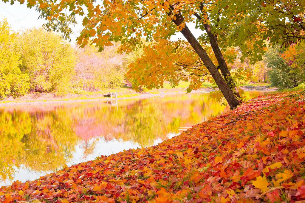 Autumn landscape — Stock Photo © Megaloman1ac #3924742