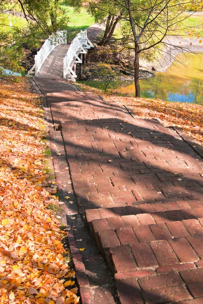 Herbstlandschaft mit Treppe, Brücke und Teich — Stockfoto