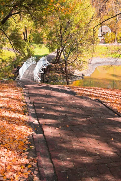 Podzimní krajina s schody, most a rybník — Stock fotografie