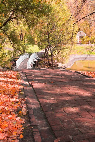 Herbstlandschaft mit Treppe, Brücke und Teich — Stockfoto