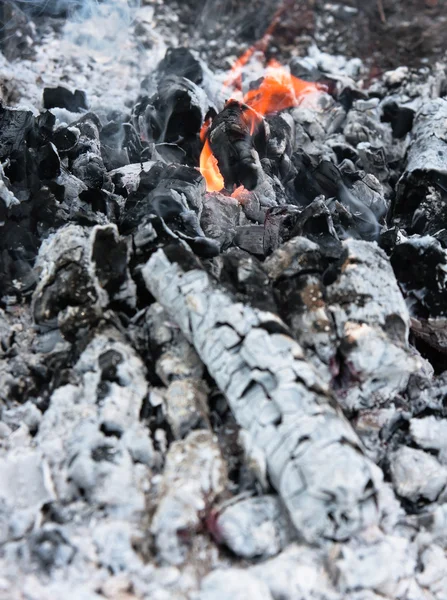 Ogień i popiół — Zdjęcie stockowe