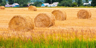 Bales of hay clipart