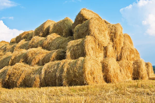 Big Haystack Field Countryside — Stock Photo, Image