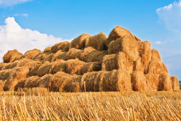 Большой стог сена на поле — стоковое фото