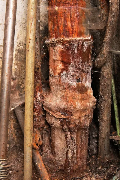 stock image View of cobwebby old rusty soil-pipes pending overhaul