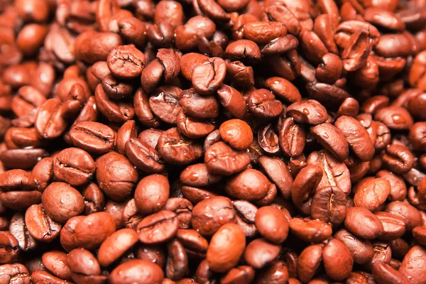 Fundo de grande número de grãos de café — Fotografia de Stock
