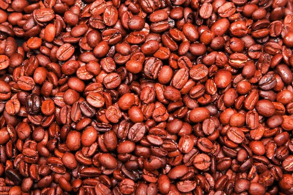 コーヒー豆の偉大な数の背景 — ストック写真