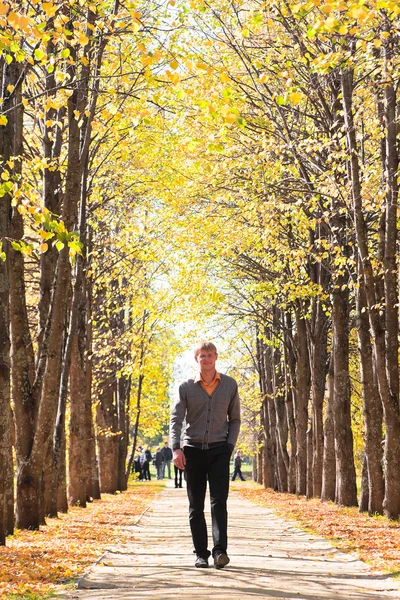 Adam sokakta sonbahar orman — Stok fotoğraf
