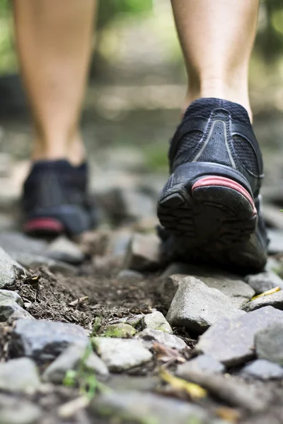 Sendero caminando en el bosque, zapatos deportivos —  Fotos de Stock