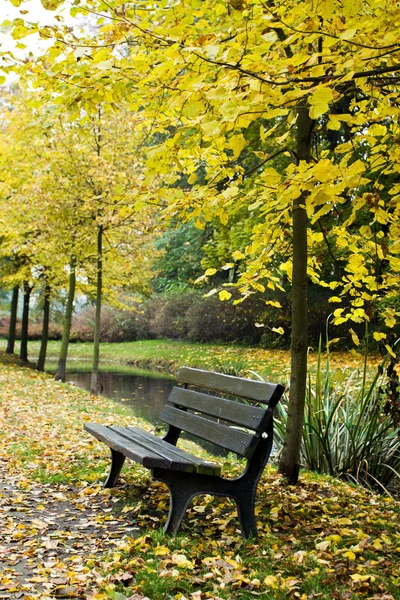 Ławce jesień las — Zdjęcie stockowe
