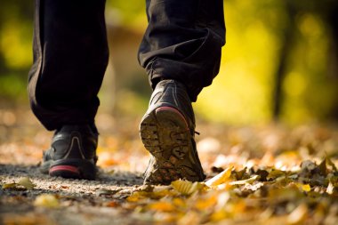 Hiking in autumn forest clipart