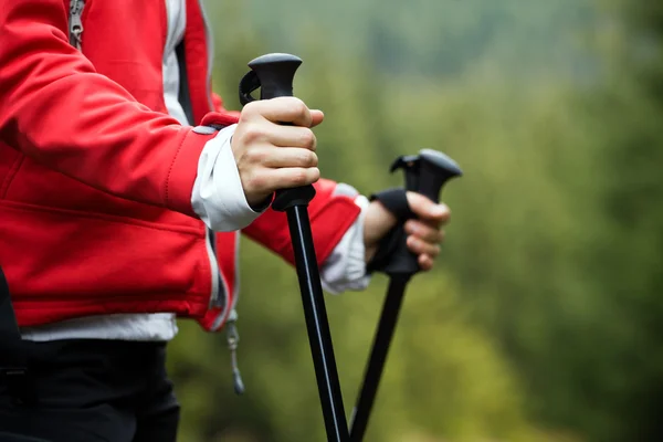 Nordic Walking hands, exercise outdoors — Stock Photo, Image