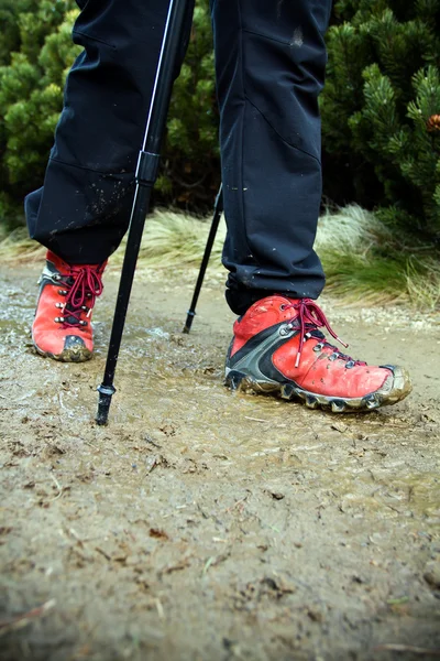 Nordic Walking legs — Stock Photo, Image