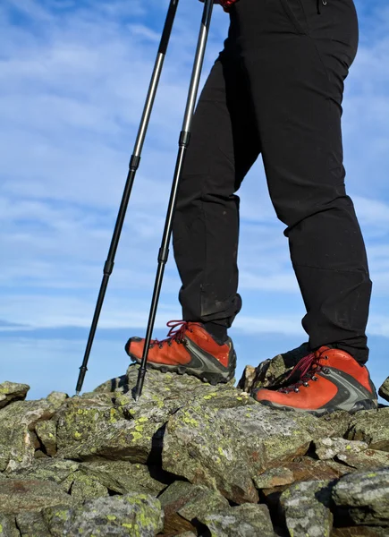 Nordik yürüyüş bacaklar — Stok fotoğraf