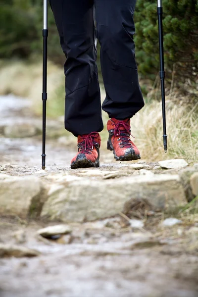 Nordic Walking and hiking boots — Stock Photo, Image