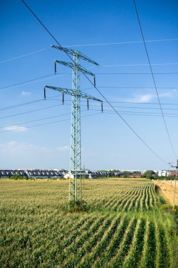 Power lines on green summer fields clipart