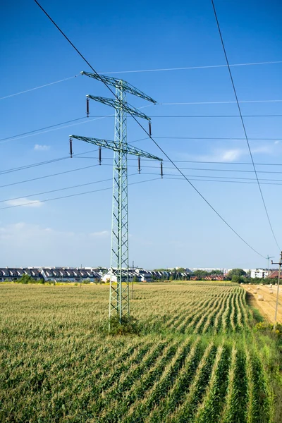 Linhas de energia em campos verdes de verão — Fotografia de Stock