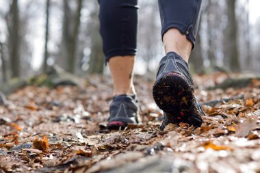 Woman walking in autumn forest clipart