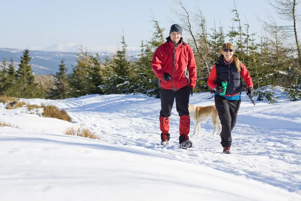 Winter hiking in mountains, couple hikers — Stock Photo, Image
