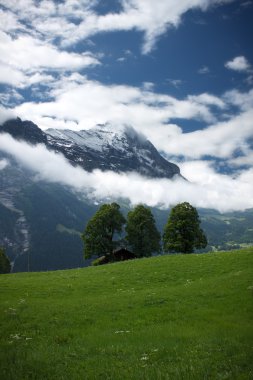 Yeşil swiss Dağları üzerinde göster