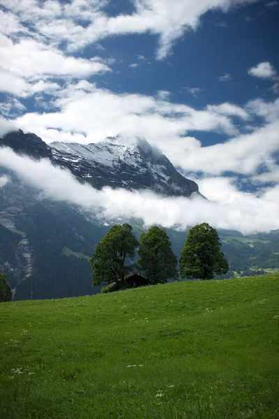 Yeşil Swiss Dağları Üzerinde Göster — Stok fotoğraf