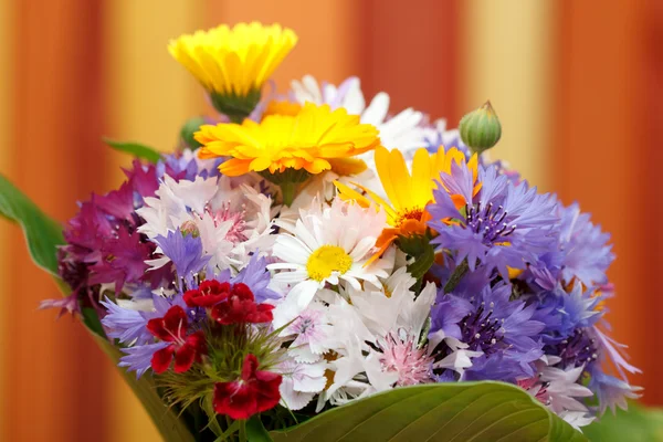 Bunch of coloured flowers — Stock Photo, Image