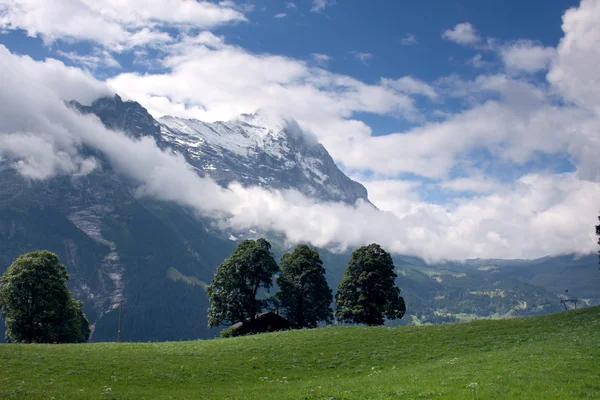 查看到因特拉肯瑞士山 — 图库照片